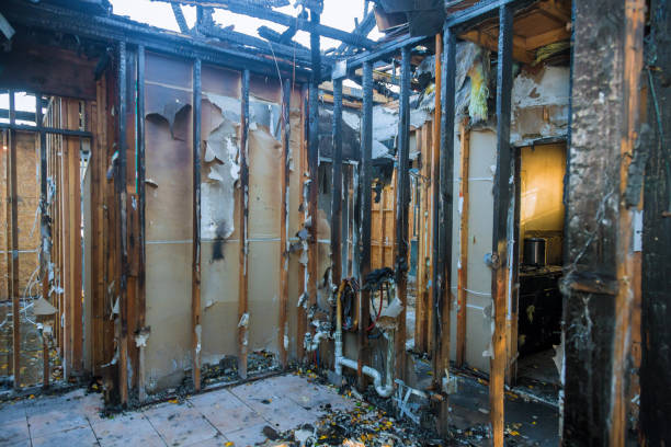 Professional Fire Damage Assessment technician working in Pioche, NV
